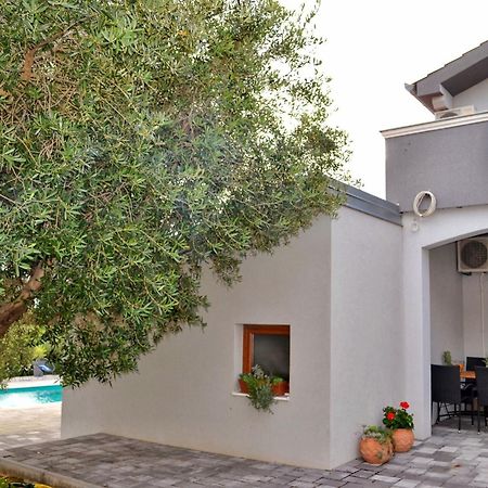 Donja Jagodnja Apartmani Rina מראה חיצוני תמונה